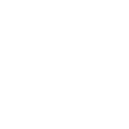 icon-Fast-Issue-Resolution-white