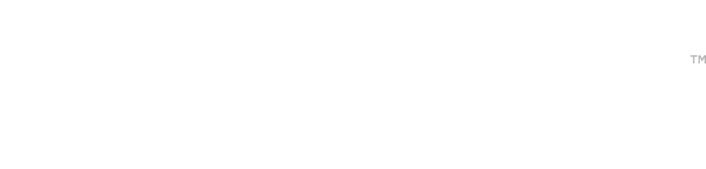 logo cyberfortress white