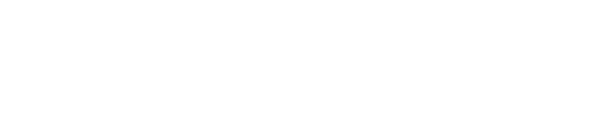 logo ebizcharge white