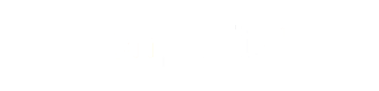 nonprofitplus-logo-white-2
