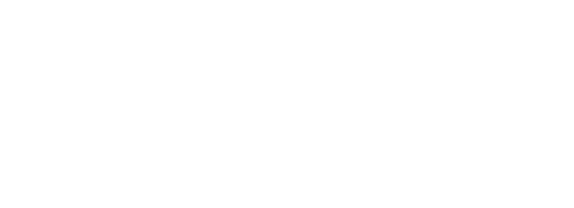 velixo logo white